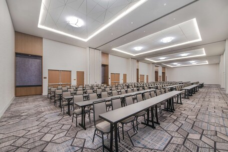 Embassy Suites By Hilton Asheville Downtown - Image 56