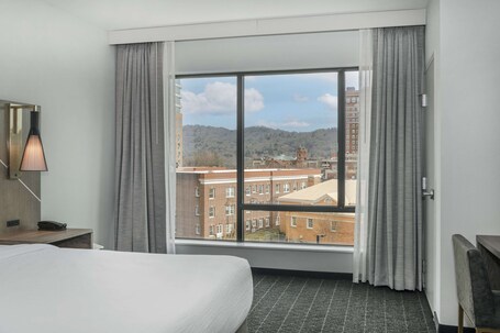 Embassy Suites By Hilton Asheville Downtown - Image 19