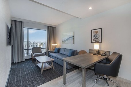 Embassy Suites By Hilton Asheville Downtown - Image 59
