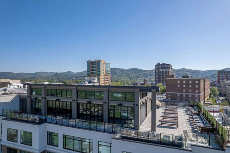Embassy Suites By Hilton Asheville Downtown - Image 22