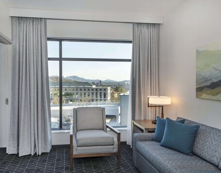 Embassy Suites By Hilton Asheville Downtown - Image 20