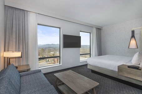 Embassy Suites By Hilton Asheville Downtown - Image 42