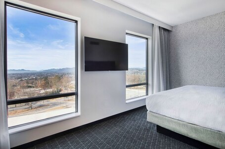 Embassy Suites By Hilton Asheville Downtown - Image 69