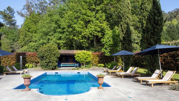 A swimming pool with lounge chairs and umbrellas, surrounded by lush greenery. - Casa de Juste (Lousada)