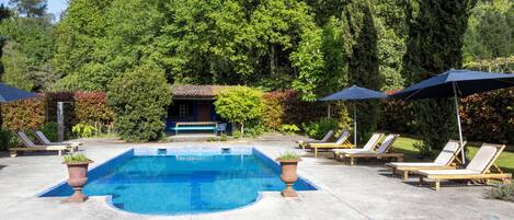 Piscina con sillas de descanso y sombrillas, rodeada de árboles.