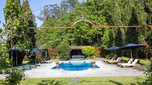 A swimming pool with lounge chairs and umbrellas, surrounded by trees and a small building.