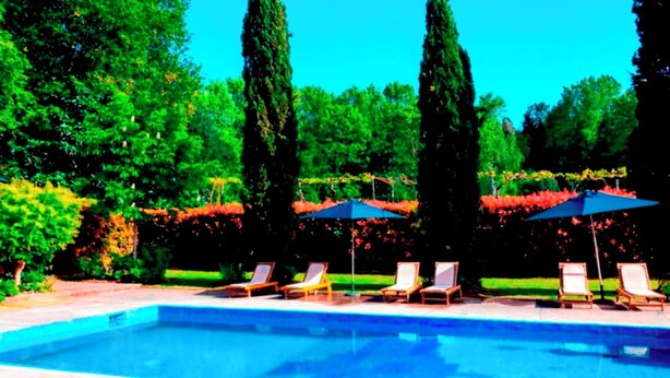 A swimming pool with lounge chairs and umbrellas, surrounded by greenery and tall trees.