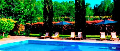 Piscina con sillones de descanso y sombrillas, rodeada de follaje y árboles altos.