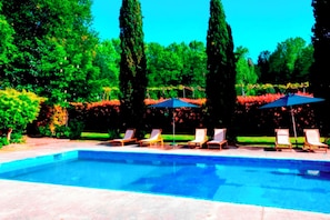 Piscina con sillones de descanso y sombrillas, rodeada de follaje y árboles altos.