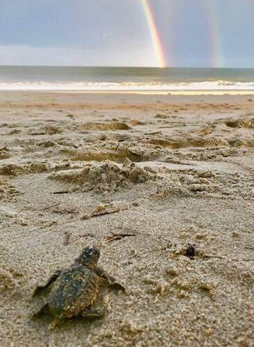 Ideal Location for marine graduation or lowcountry getaway!