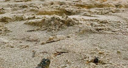 Ideal Location for marine graduation or lowcountry getaway!