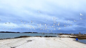 Toallas de playa 