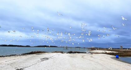 Ideal Location for marine graduation or lowcountry getaway!
