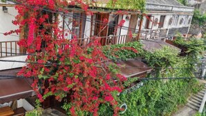A traditional house with a staircase leading to a wooden deck, surrounded by lush greenery and red flowering plants. - Tinghai Guesthouse (Yuhuan)
