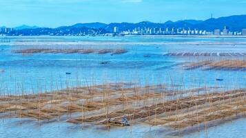 A coastal area with water channels and wooden structures, possibly for aquaculture, with a distant cityscape.
