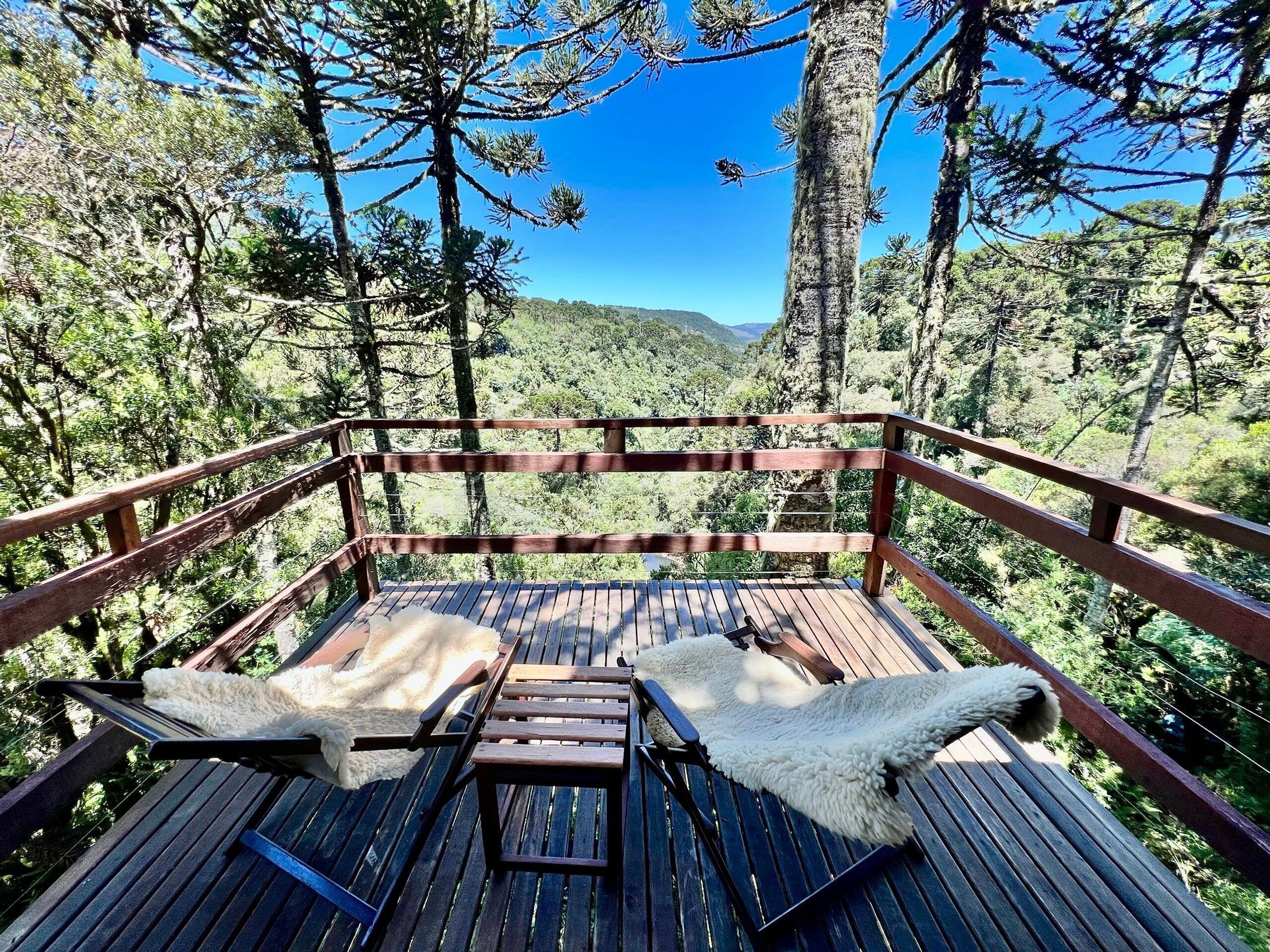 Panoramic Cabin | Property grounds