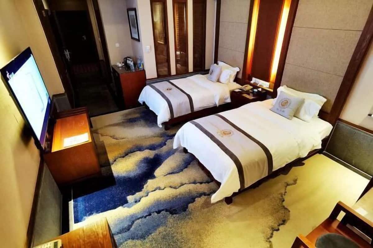 A hotel room with two beds, a TV, a desk, and a carpet with a unique design.