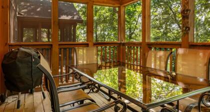 Olivia Court 10 min from silver dollar city