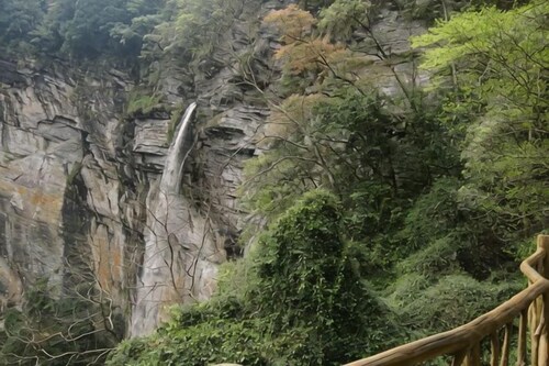 Yongtai Gening Ant Nest Egg Homestay