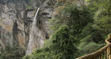 Yongtai Gening Ant Nest Egg Homestay