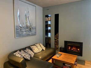 TV connectée, cheminée, lecteur de DVD, table de tennis de table