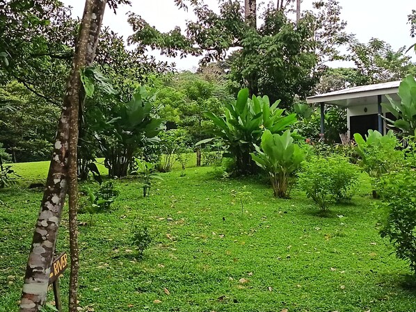 Terrain de l’hébergement 