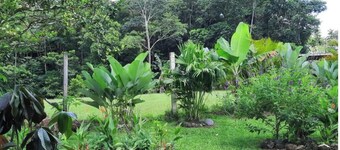 Agua Azul Farm. A/C WiFi, 2 beds, river, gardens, parking, security, comfort.