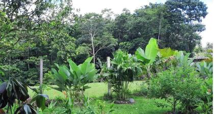 Agua Azul Farm. A/C WiFi, 2 beds, river, gardens, parking, security, comfort.