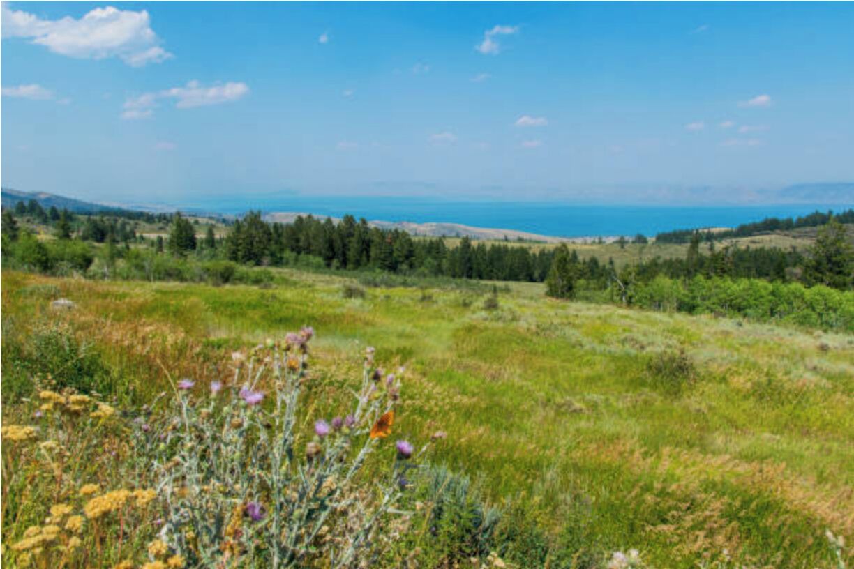 Une vue panoramique d’un paysage côtier, avec des collines ondoyantes, un ciel dégagé et une vue lointaine sur la mer.