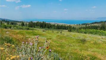 Une vue panoramique d’un paysage côtier, avec des collines ondoyantes, un ciel dégagé et une vue lointaine sur la mer.