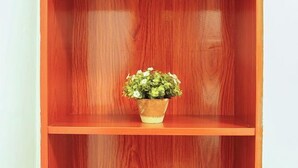 Una estantería de madera con una pequeña planta en maceta.