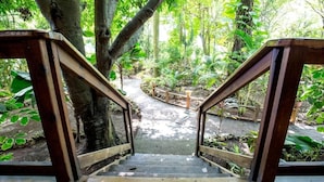 A wooden staircase leading into a lush garden area with various plants and trees. - Mango Inn Resort  (Isla de Utila)