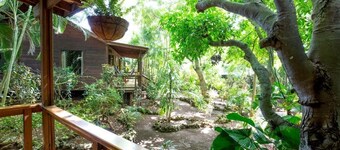 マンゴイン リゾート