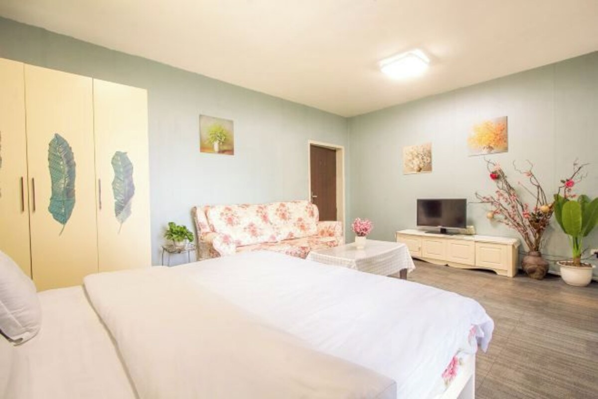 Ein Schlafzimmer mit Bett, Sofa, Fernseher, Kleiderschrank und einer Topfpflanze.