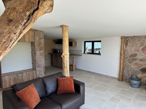 Televisio, takka, videopelejä, DVD-soitin