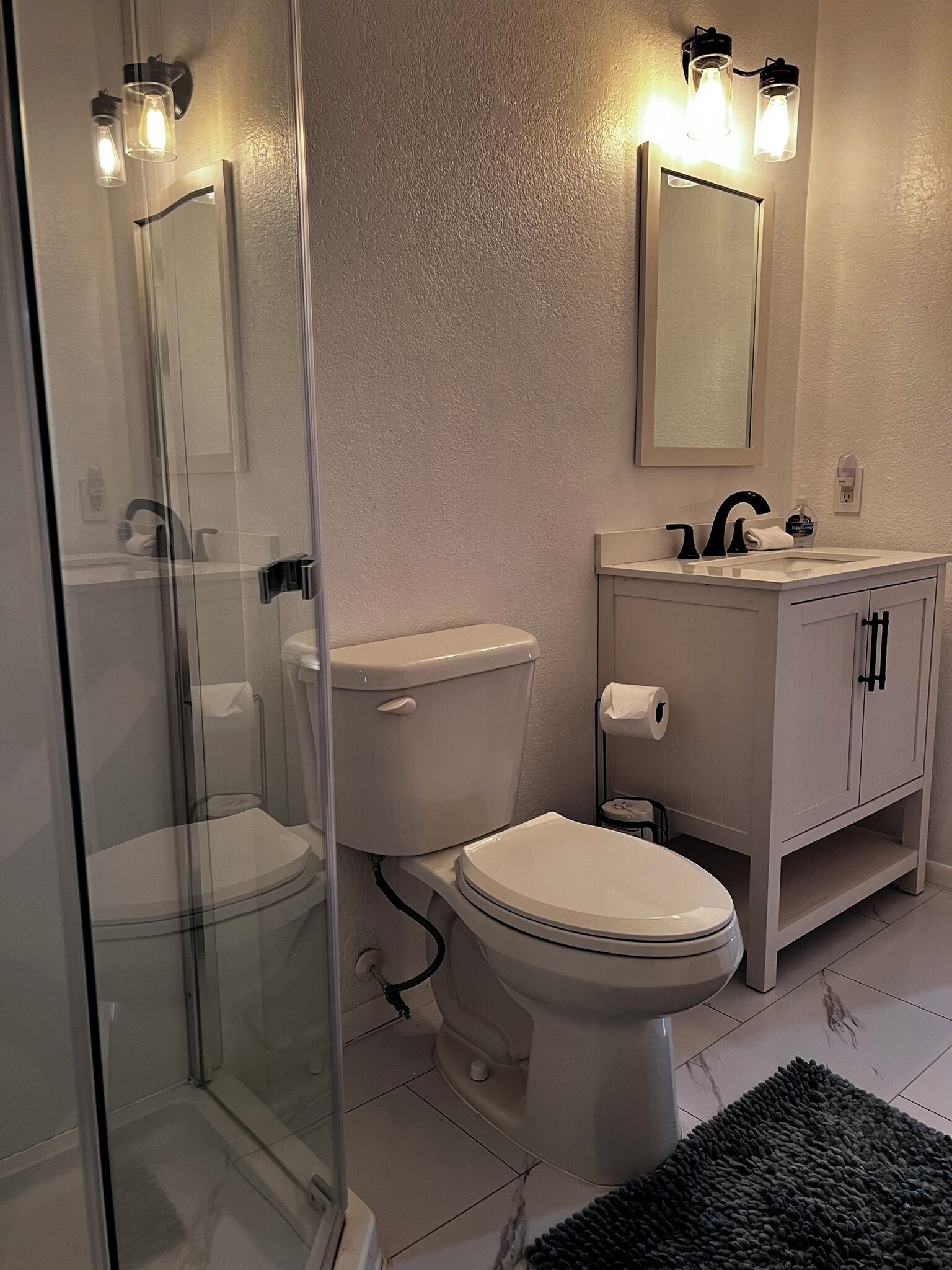 A bathroom with a glass shower enclosure, a toilet, a sink with a mirror above it, and a dark rug on the floor.
