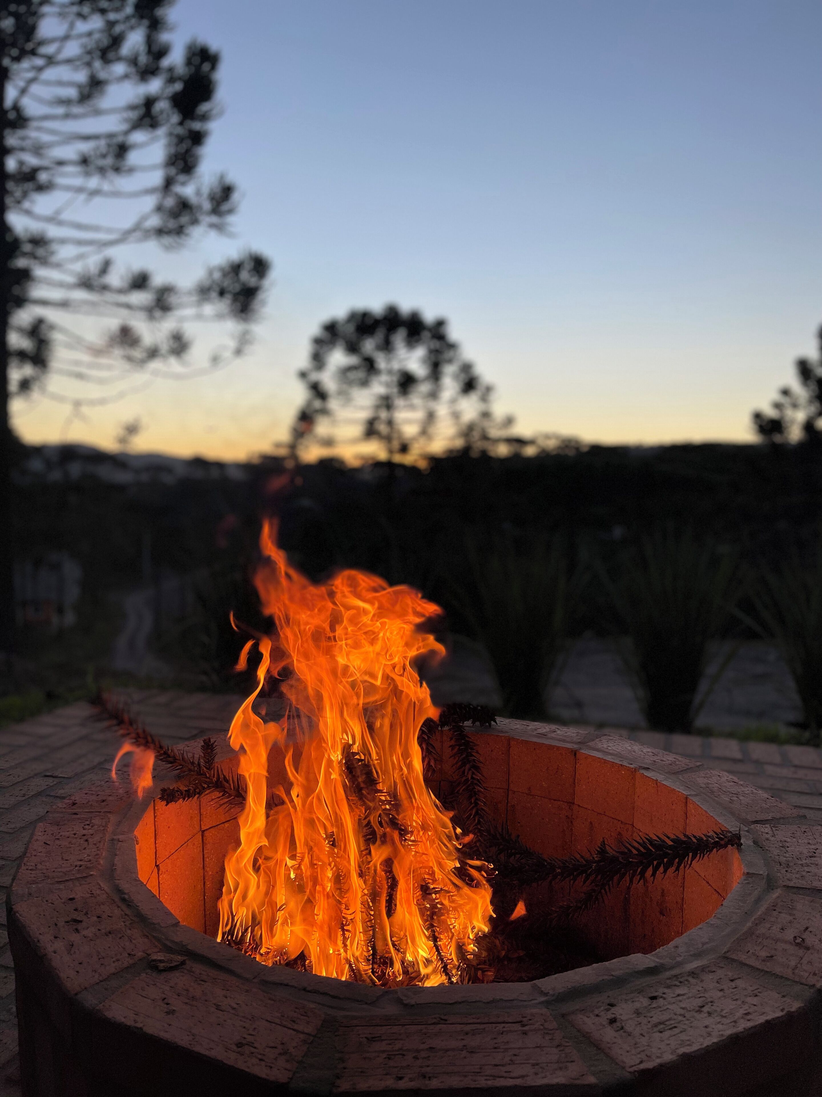 Ein kreisrunder Feuerkorb mit Flammen, umgeben von einer Ziegelumrandung, in einem Außenbereich mit Bäumen und blauem Himmel im Hintergrund.