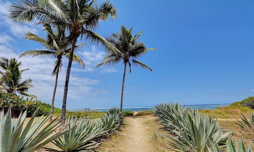 T2 – Le Bertel Flamboyant – La Saline-les-Bains