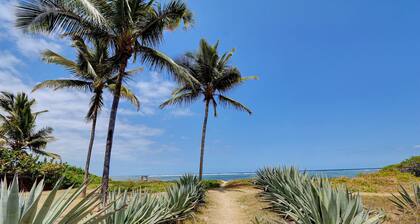 T2 â Le Bertel Flamboyant â La Saline-les-Bains