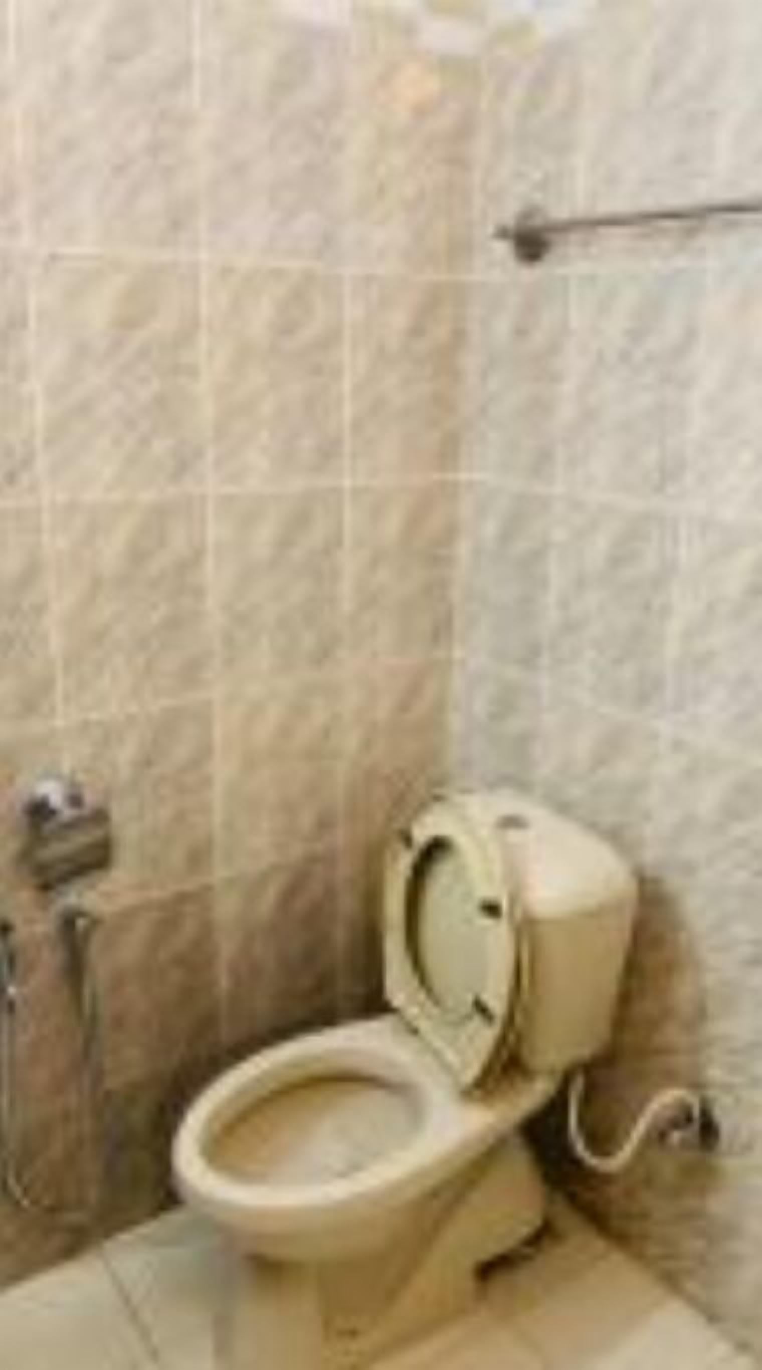 Shower, free toiletries, hair dryer, slippers