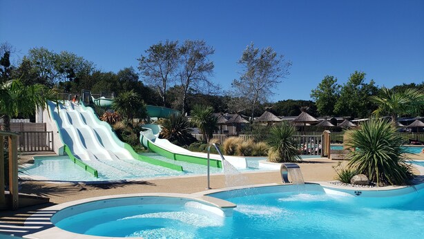 Una piscina con tobogán, rodeada de palmeras y un cielo azul despejado.