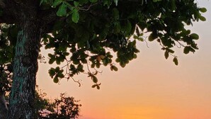 A beach scene with a sunset, a tree, and a pier. - Cozy Villa Escape (Runaway Bay)