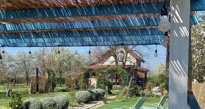 Holiday Home Paunovaca