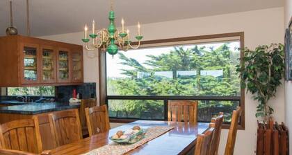 Heron Breeze - Pet Friendly, Views of Bodega Head, Doran Beach, and the Links
