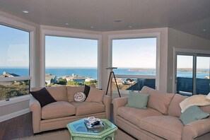 Flat-screen TV, fireplace, stereo - Bearings - Beachy, comfortable, open & light, great views, pet friendly (Bodega Bay)