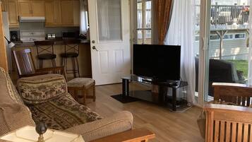 Smart TV, fireplace, books