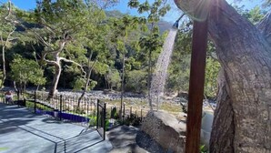 Un parque con un sendero pavimentado, una cerca metálica y un árbol con una cascada.