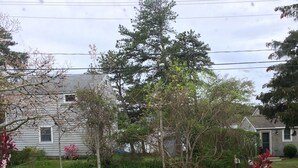 Une rue résidentielle bordée de maisons et d’arbres, avec un ciel dégagé.