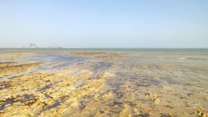 A beach with visible footprints and a distant city skyline. - Feicui Boutique Hotel (Jinjiang)