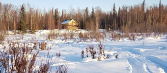 Trapper Creek Denali View Cabin